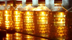 МСХ США вновь повысило прогноз по производству подсолнечного масла из РФ